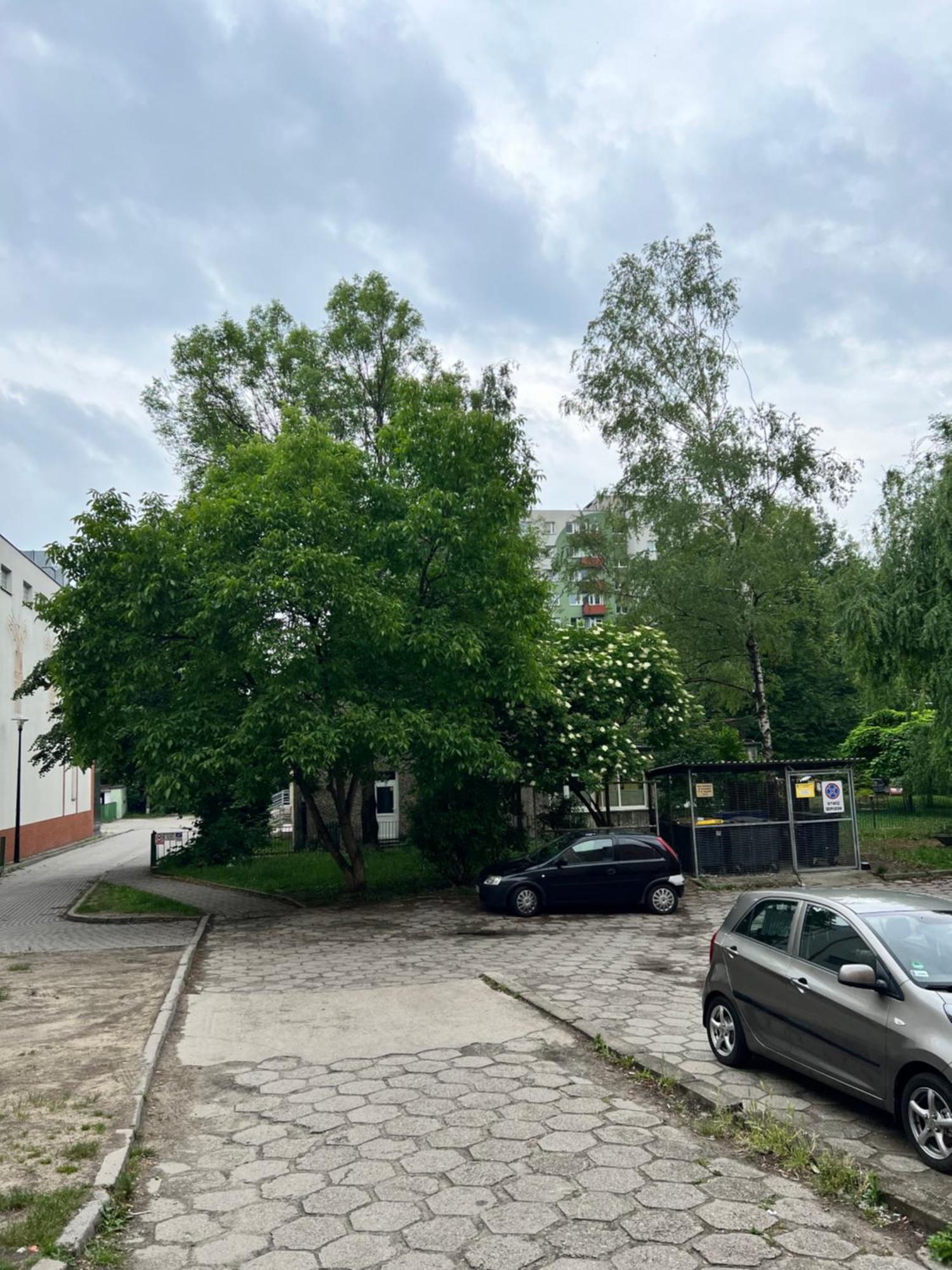 Nocleg Opole Kopernik Apartament Buitenkant foto